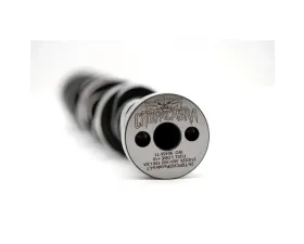 Texas Speed & Performance Gen V 