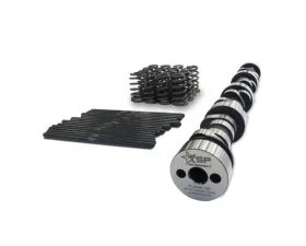 Texas Speed & Performance LS1 | LS2 | LS6 Beehive Spring Cam Kit for Cathedral Port Heads Cadillac | Chevrolet | GMC 1996-2018