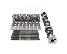 Texas Speed & Performance Rectangular Port Heads Dual Spring Cam Package Cadillac | Chevrolet | GMC 1996-2018