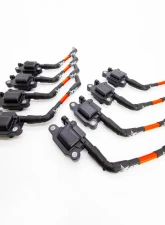 Texas Speed & Performance LS Spark Plug Wires with Coil Packs Tune Up Kit Cadillac | Chevrolet | Pontiac 1997-2018                                     - TSP-CarTuneup-KIT - Image 2
