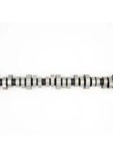 Texas Speed & Performance Stage 1 Camshaft Ford Godzilla F-250 | F-350 7.3L 2020-2023                                     - TSP-Ford7.3-Stg1 - Image 2