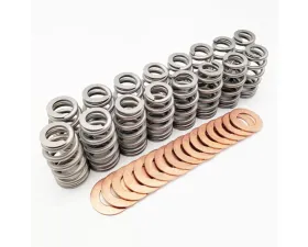 Texas Speed & Performance Hemi Spring Kit with PAC 1275X Springs and .060