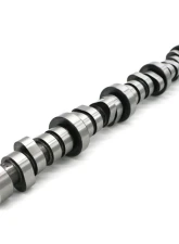 Texas Speed & Performance Hemi Stage 2 Camshaft 5.7L for Chrysler, Dodge, Jeep 2009-2021                                     - TSP-HemiSTG2 - Image 2