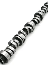 Texas Speed & Performance Stage 3 Camshaft L83 V2 for 2014-2022 Cadillac, Chevrolet, GMC 5.3L                                     - TSP-L83V2-Stg3 - Image 2