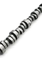 Texas Speed & Performance Stage 4 Low Lift Camshaft for Cadillac, Chevrolet, GMC 1999-2014                                     - TSP-LL222226111 - Image 2