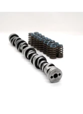Texas Speed & Performance LT Low Lift Camshaft Kit for Chevrolet/GMC 5.3L 2014-2022                                     - TSP-LTLowLiftKit-V2 - Image 3