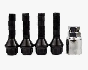 ESR Wheels Lock Bolts .93