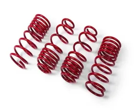 MTS Technik 60X40mm Performance Springs BMW 3 Series | E21 315 - 323I 1976-1982