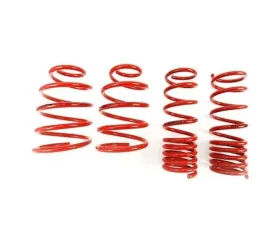 MTS Technik 50-70mmx30-50mm Performance Springs Fiat Cinquecento | Seicento 1991-1998