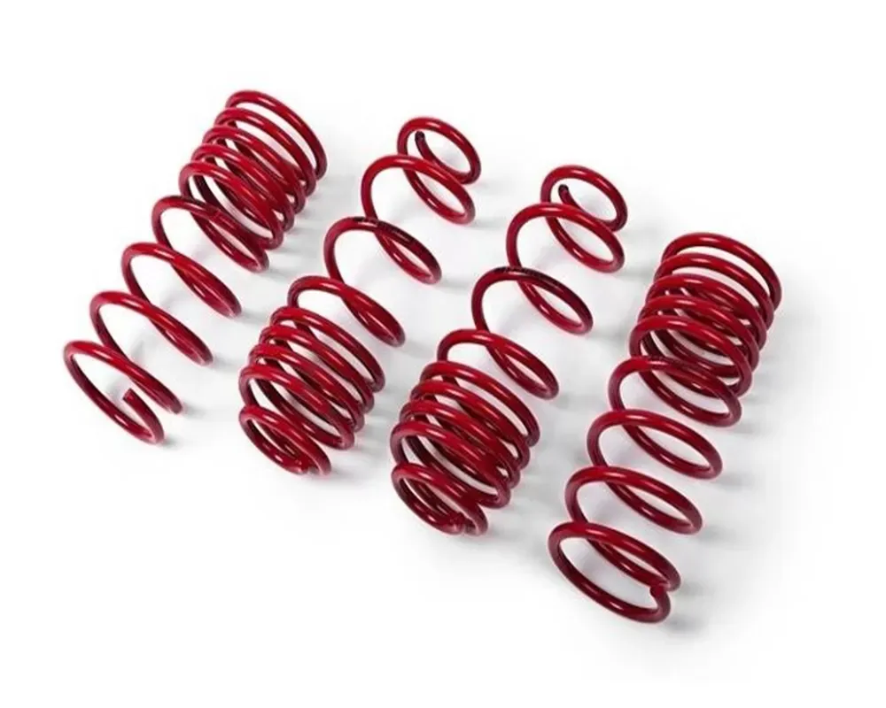 MTS Technik Performance Springs  Mercedes-Benz E-Class Sedan | Kombi 6 cyl. S210 | W210 1995-2002 - MTSXMB141