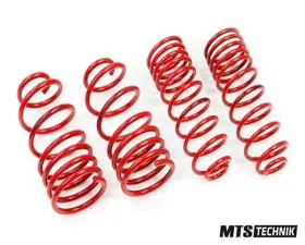 MTS Technik Performance Springs Volkswagen Golf III | Vento 1.6 | 1.8 | 2.0 | 1.9SDI | 1.9D | 1.9TD | 1.9TDI 1H1 | 1H2 1994-1997