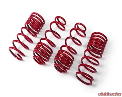 MTS Technik Performance Springs Volkswagen Passat B5 FL Sedan 1.8T with auto. | 2.3 V5 manual | 1.9TDI with auto. 3B3 2000-2005 - MTSXVW386