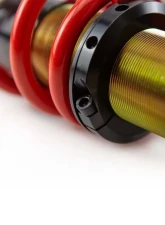 MTS Technik Street Coilover Kit (30-45 x 84 N/mm) BMW 1 | 2 | 3 | 4 Series F2X/F3X/F8X 2011+                                     - MTSGWBM67 - Image 3