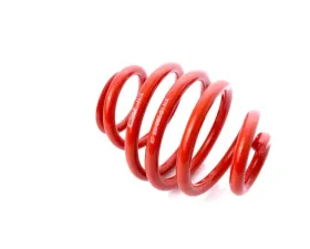 MTS Technik Coilover Main Spring Rear Volkswagen Transporter T5 | T6 2003-2023