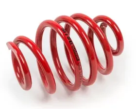 MTS Technik Rear Coilover Main Spring Audi A6 C5 | Volkswagen Passat B5 1997-2005