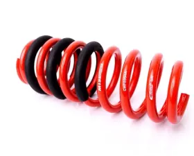 MTS Technik Coil Spring