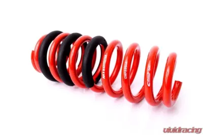 MTS Technik Coil Spring - GWFE05HA