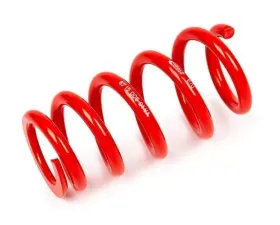 MTS Technik Front Coilover Main Spring Audi A4 B5 | B6 | B7 1995-2008