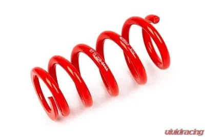 MTS Technik Front Coilover Main Spring Audi A4 B5 | B6 | B7 1995-2008 - GWFE09VA