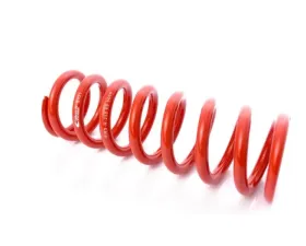 MTS Technik Rear Coilover Main Spring Audi 80 B3 | BMW 7 Series E23 1987-2000