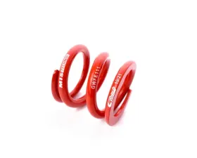 MTS Technik Coilover Main Spring Rear BMW 3 Series E36 | Z3 E36 1992-2002