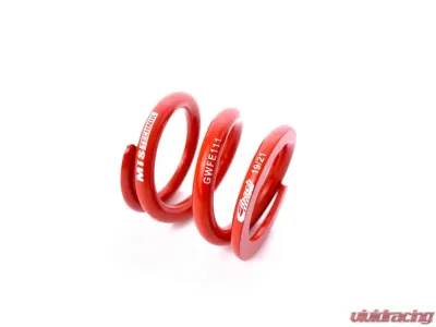 MTS Technik Coilover Main Spring Rear BMW 3 Series E36 | Z3 E36 1992-2002 - GWFE111