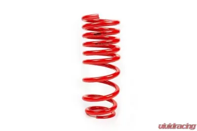 MTS Technik Rear Coilover Main Spring Audi A4 B5 | 80 B4 | Ford Focus II - GWFE20HA