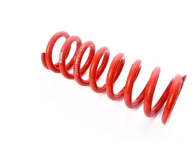 MTS Technik Rear Coilover Main Spring BMW 7 Series E23 1987