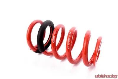 MTS Technik Rear Coilover Main Spring BMW 5 | 6 | 7 | 8 Series 1987-2018 - GWFE255VA