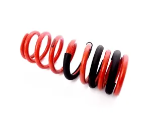 MTS Technik Rear Coilover Main Spring BMW 3 Series E21 1977-1981