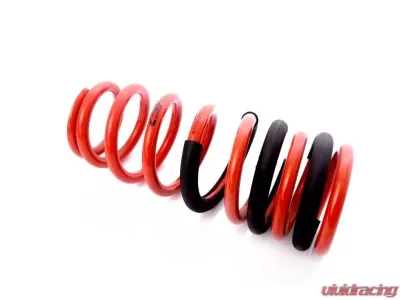 MTS Technik Rear Coilover Main Spring BMW 3 Series E21 1977-1981 - GWFE264HA