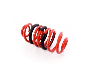 MTS Technik Coilover Main Spring Rear Audi A4 | A5 | Ford Mustang V 2005-2017