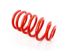 MTS Technik Rear Coilover Main Spring Audi A6 C5 | Ford Mustang V 1997-2014