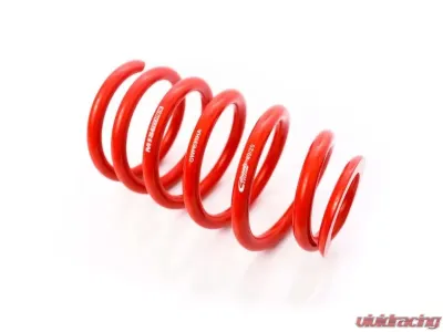 MTS Technik Rear Coilover Main Spring Audi A6 C5 | Ford Mustang V 1997-2014 - GWFE33HA
