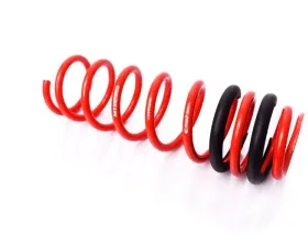 MTS Technik Rear Coilover Main Spring BMW 5 Series E39 | E34 1988-2003