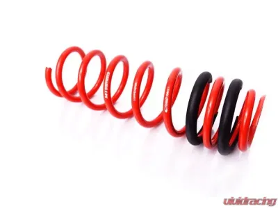 MTS Technik Rear Coilover Main Spring BMW 5 Series E39 | E34 1988-2003 - GWFE46HA