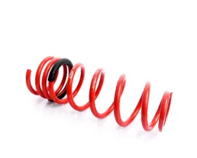 MTS Technik Coilover Main Spring Rear BMW 5 Series F10 | 6 Series F06 | 7 Series F01 2009-2018