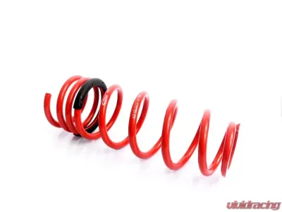 MTS Technik Coilover Main Spring Rear BMW 5 Series F10 | 6 Series F06 | 7 Series F01 2009-2018 - GWFE78HA