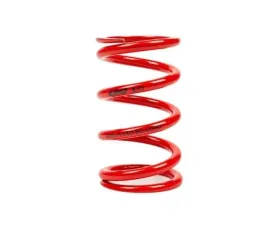 MTS Technik Coilover Main Spring Rear Audi A3 | Skoda 1996-2011