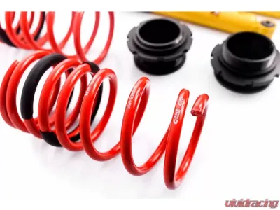 MTS Technik Street Coilover Kit BMW E6 | E10 1967-1977 - MTSGWBM54