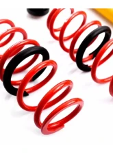 MTS Technik Street Coilover Kit Skoda Roomster 5J 2006-2008                                     - MTSGWVW71 - Image 3