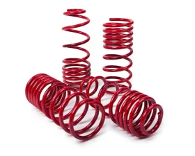 MTS Technik Performance Springs 45mm Cupra Formentor 2020-2023