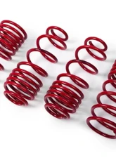 MTS Technik Performance Springs 45mm Cupra Formentor 2020-2023                                     - MTSXSE145 - Image 2