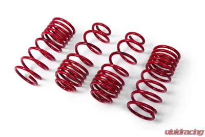 MTS Technik Performance Springs 45mm Cupra Formentor 2020-2023 - MTSXSE145
