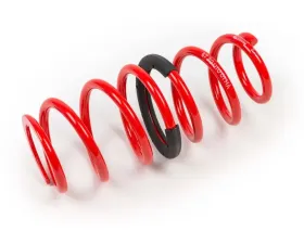 MTS Technik Rear Main Coilover Spring Ford Fiesta V