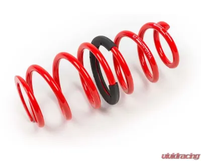 MTS Technik Rear Main Coilover Spring Ford Fiesta V - GWFE15HA