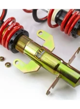MTS Technik Street Coilover Kit Ford Fiesta V 2001-2014                                     - MTSGWFO10 - Image 2