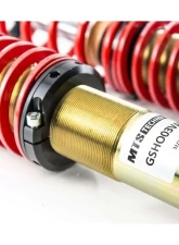 MTS Technik -980 kg Street Coilover Kit Honda Civic VIII Hatchback 2.0 i-VTEC 2007-2010                                     - MTSGWHO06-S - Image 3