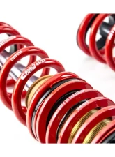 MTS Technik -980 kg Street Coilover Kit Honda Civic VIII Hatchback 2.0 i-VTEC 2007-2010                                     - MTSGWHO06-S - Image 4