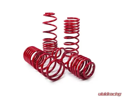 MTS Technik 30/35 mm Lowering Springs Cupra Leon Sportstourer KL8 1.4 e-HYBRID / e-HYBRID 2020+ - MTSXSE160
